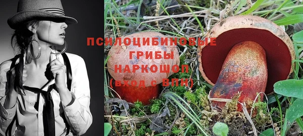 apvp Белоозёрский